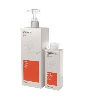 Framesi Morphosis Purifying Shampoo (  ) - ,   